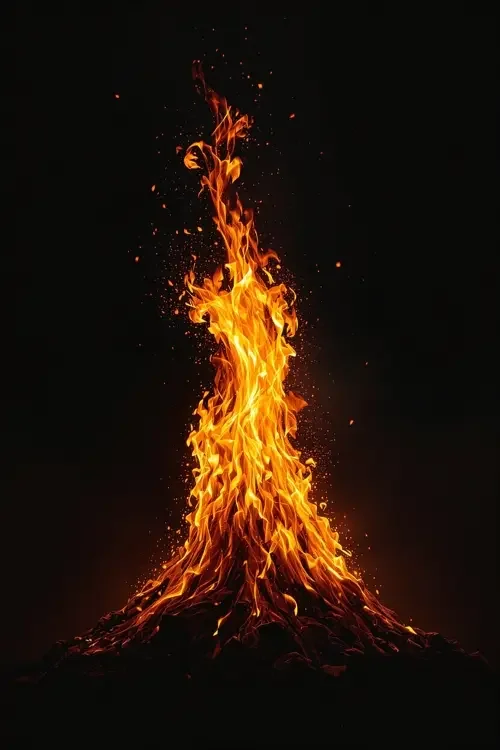 本周爆款 青青草免费观看